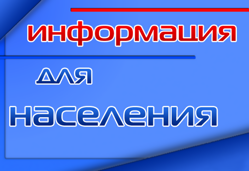 Информация по предстоящим выборам в 2024 году.